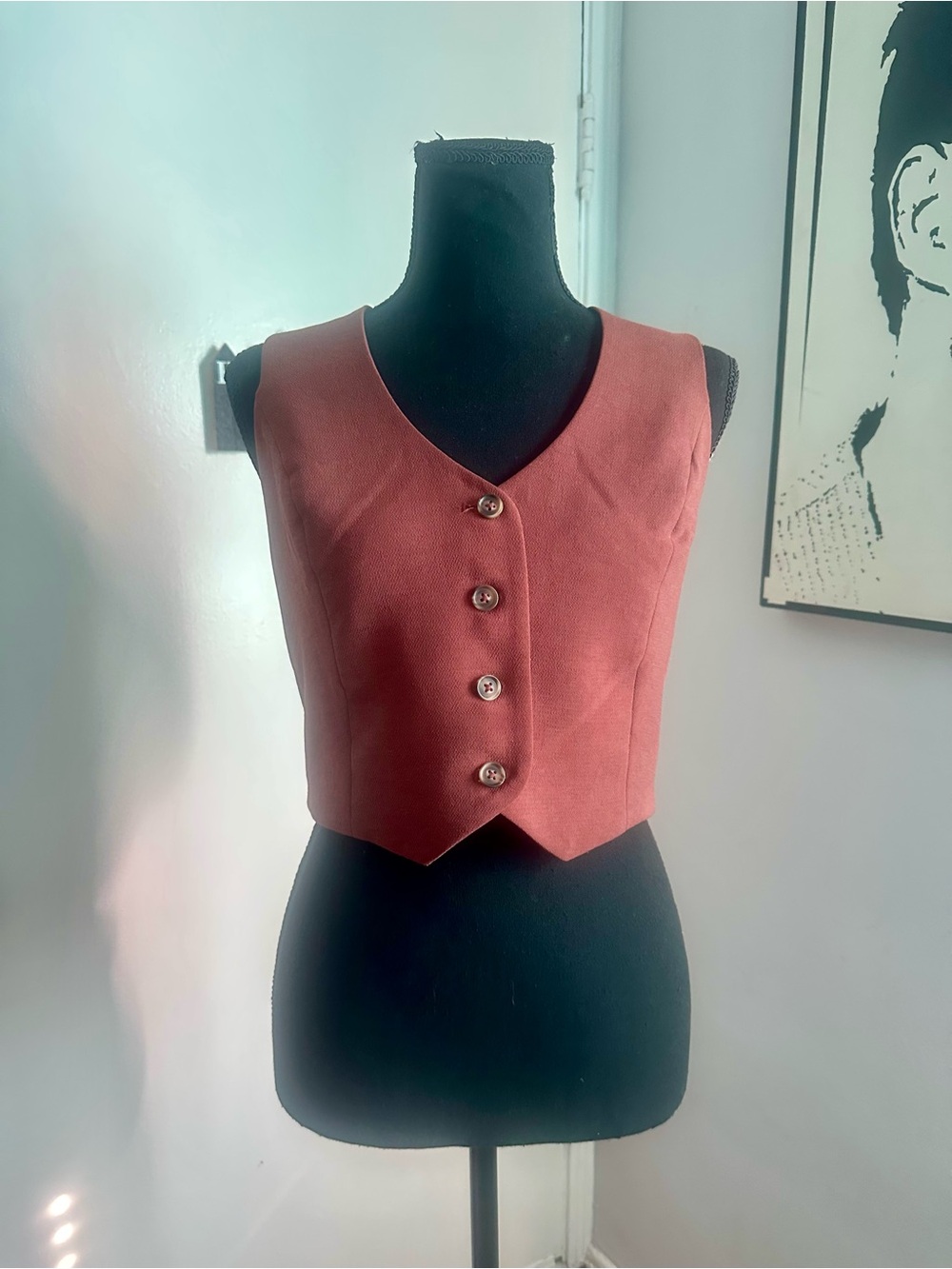 House of Harlow 1960 Rust Button-Front Crop Top
